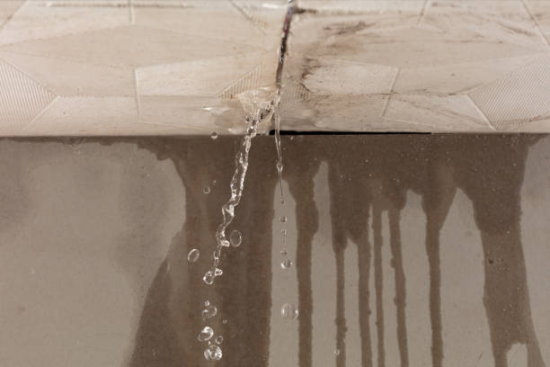 Professional Water Damage Inspection technician working in Goldvein, VA
